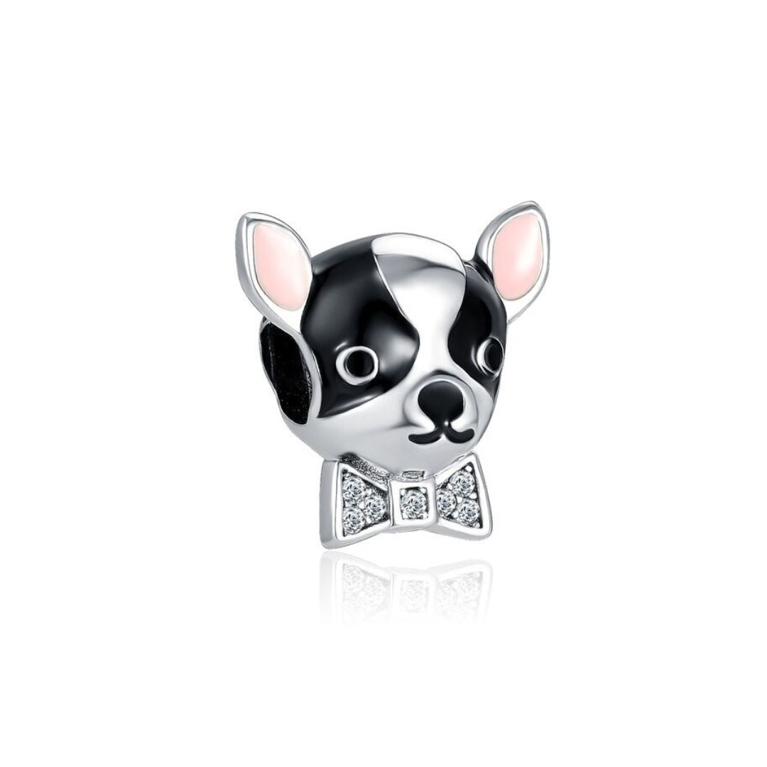 Chihuahua Charm