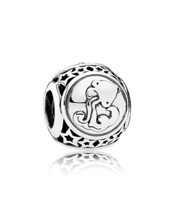 Aquarius Charm