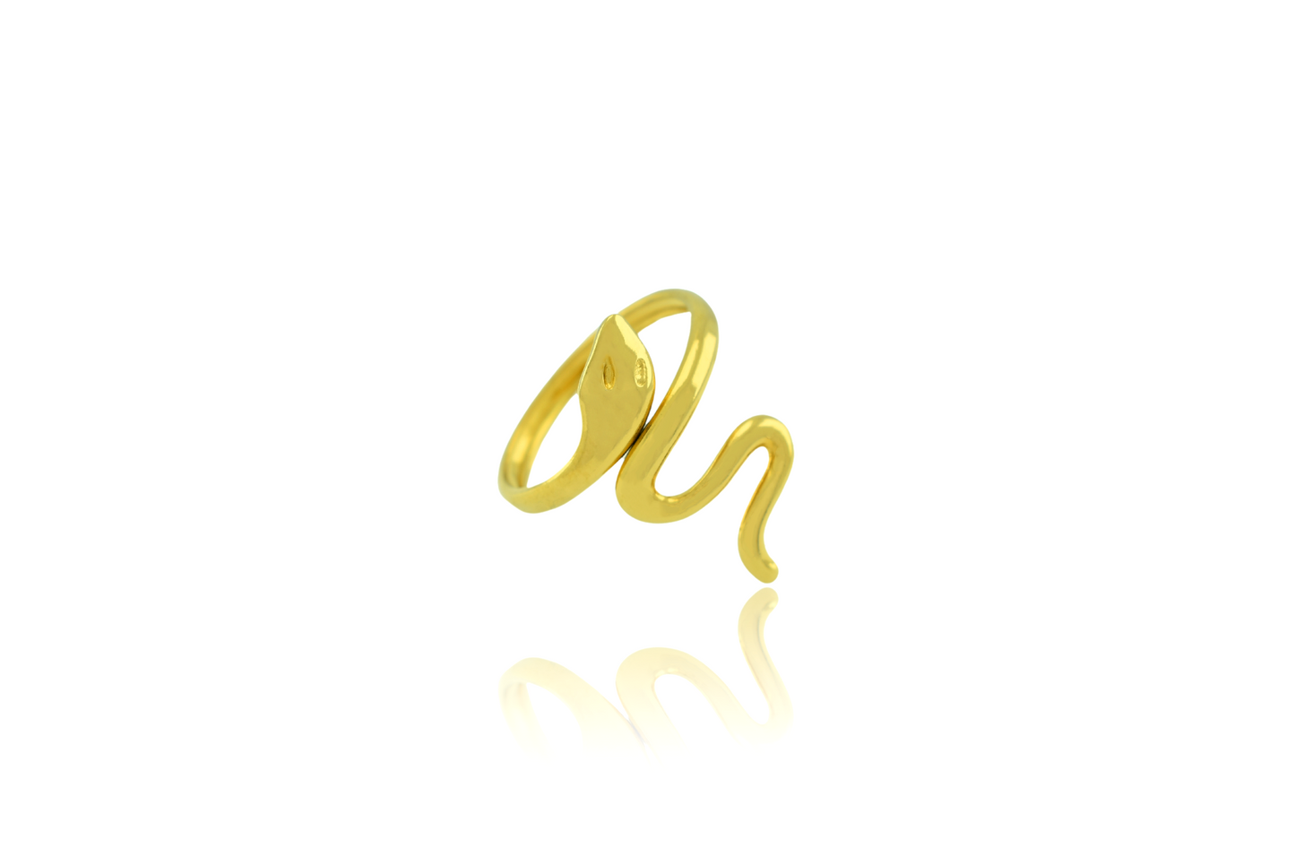 Anillo Snake